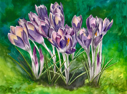 Flower Painting - Purple Crocus (8X11)