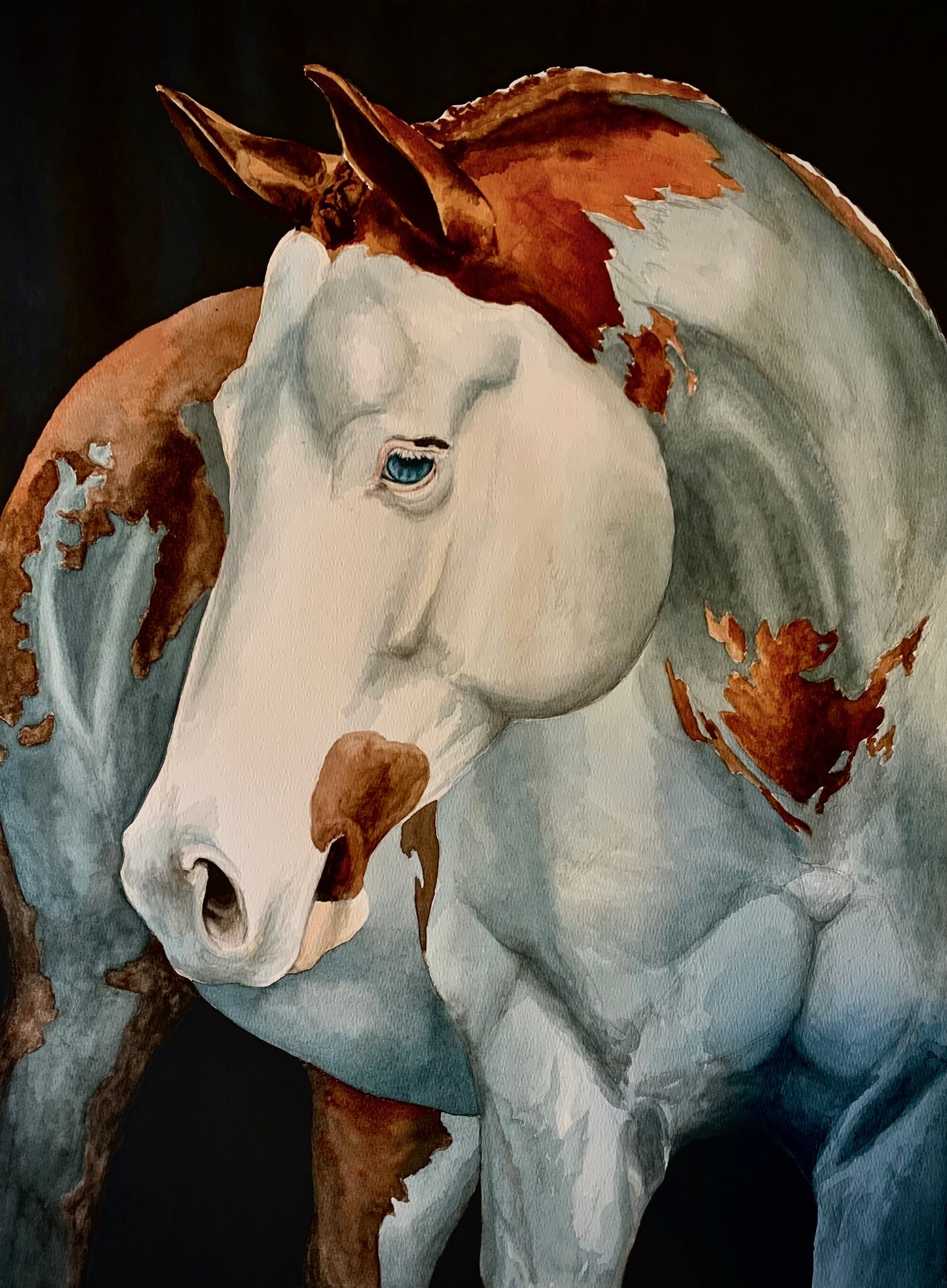 Horse Portrait - Gizmo