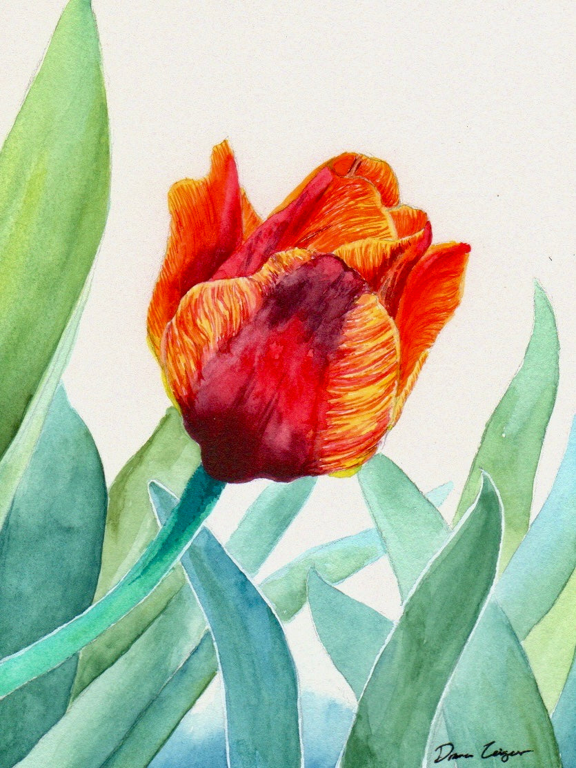 Flower Painting -  Red & Yellow Tulip (6X8)