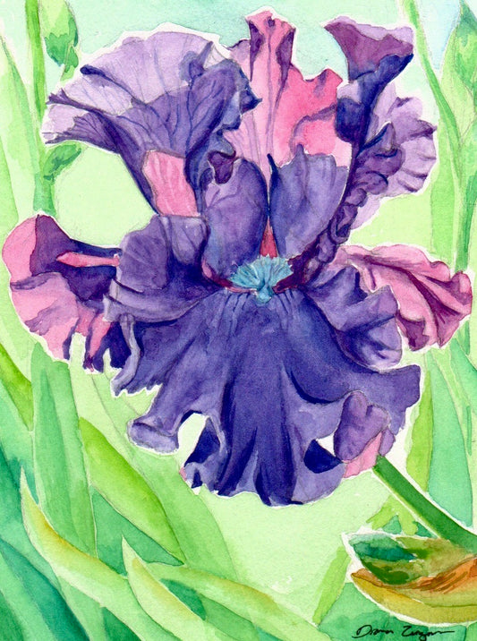 Flower Painting -  Purple Iris (6X8)