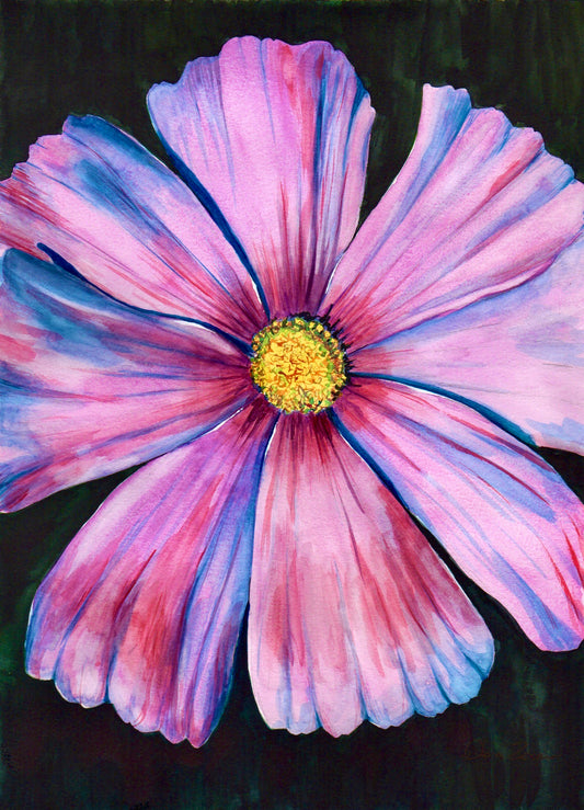Flower Painting - Pink Cosmos (11X15)