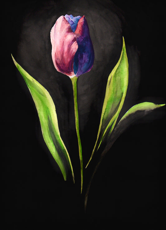 Flower Painting - Pink Tulip (11X15)