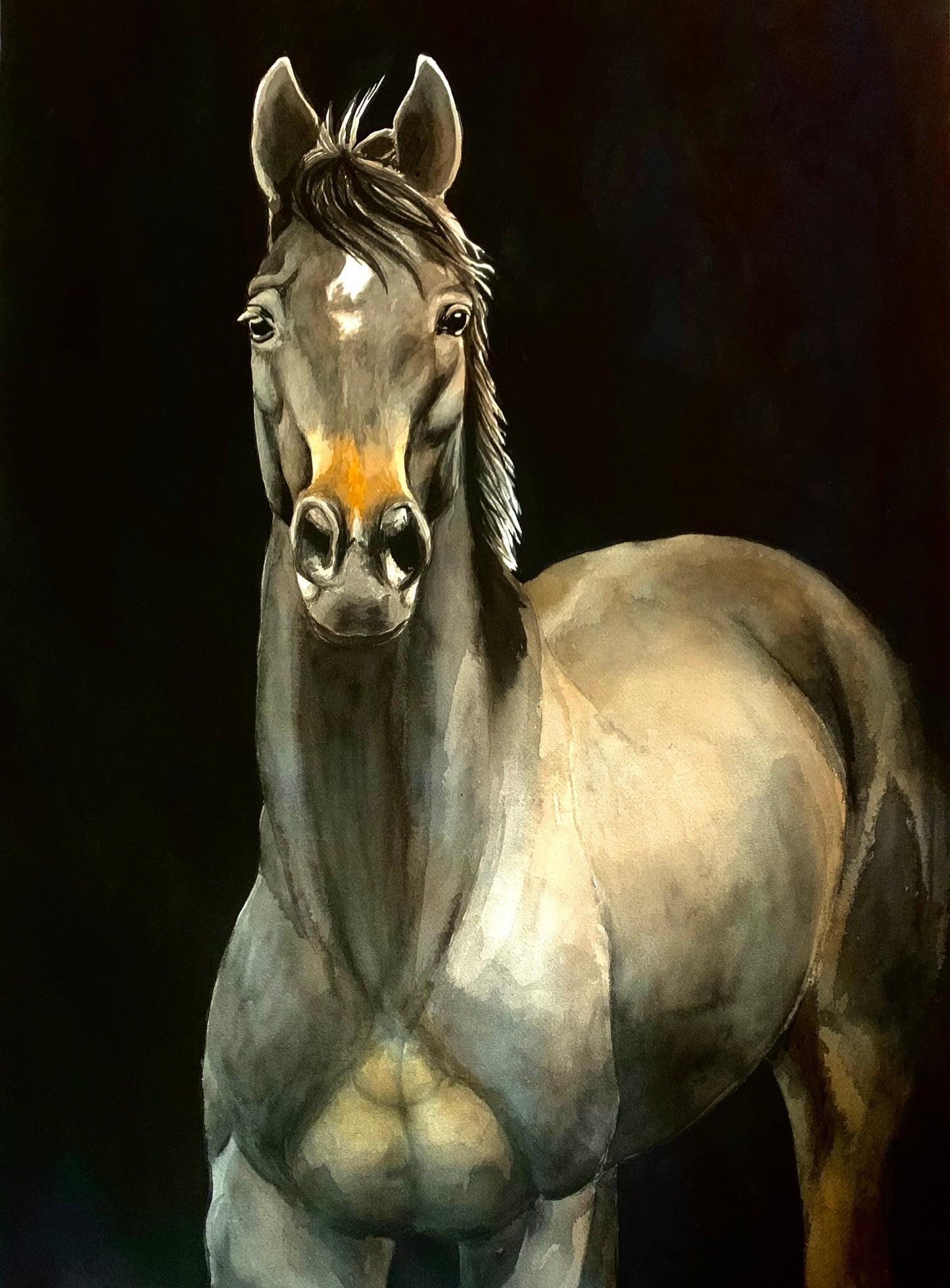 Horse Portrait - Dancer (18X30)