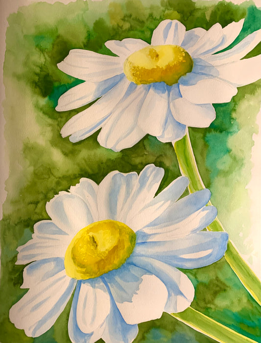 Flower Painting - White Daisies (18X24)