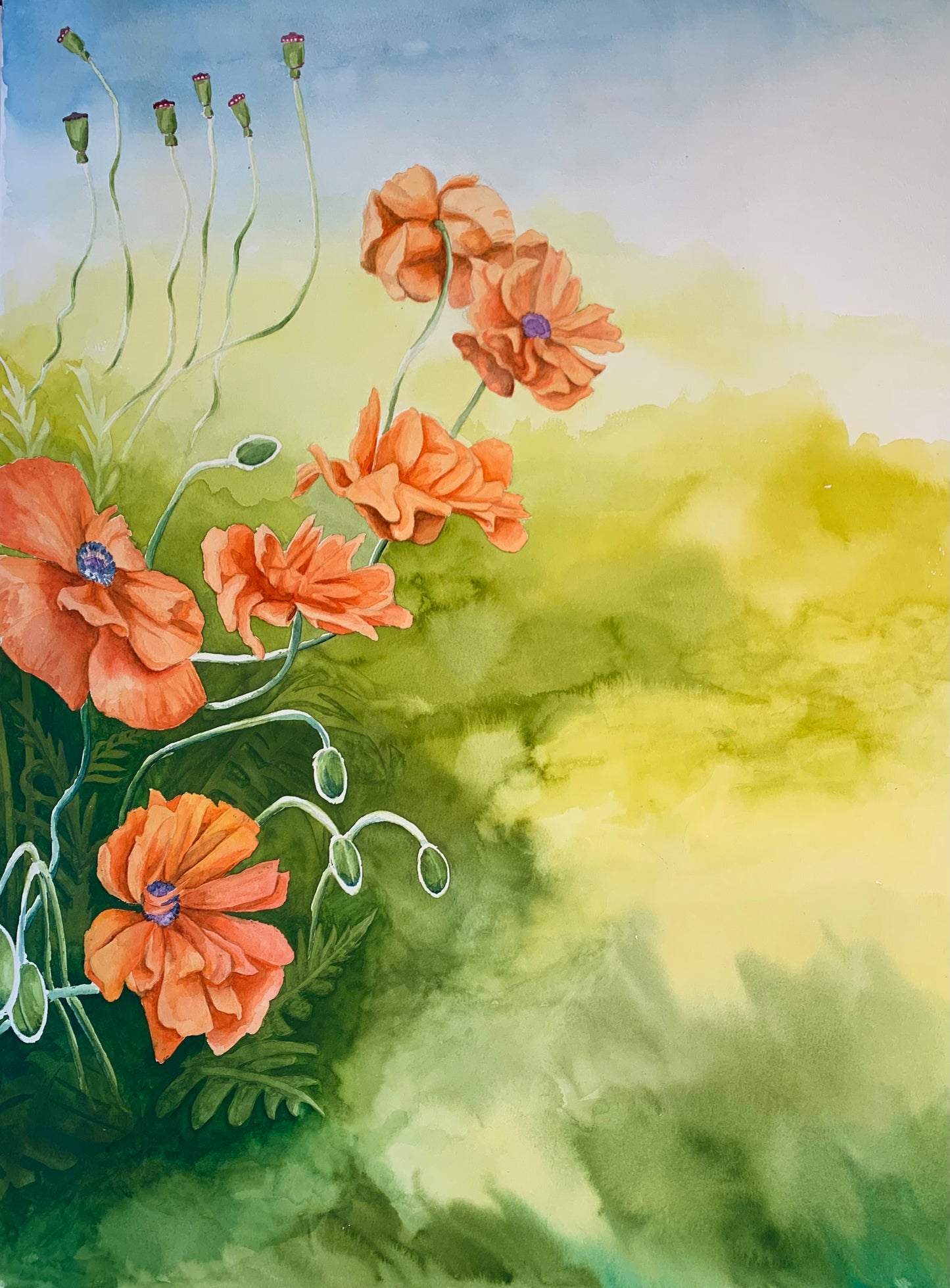 Flower Painting - The Grateful Poppy (18X24)