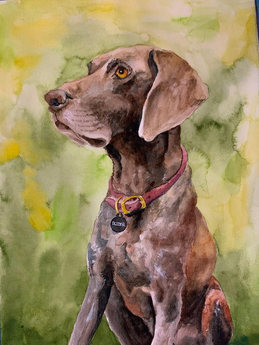 Dog Portrait - German Short Hair Pointer (Dozer)