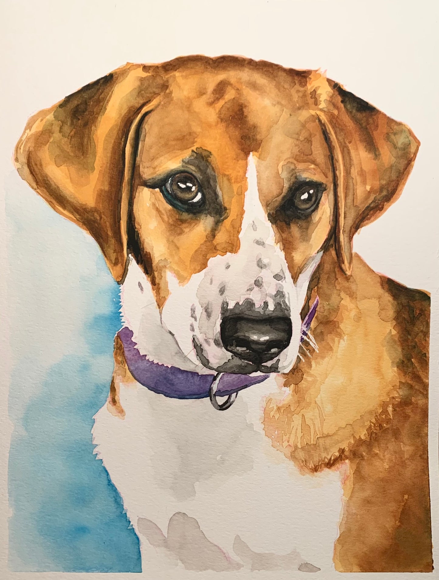 Dog Portrait