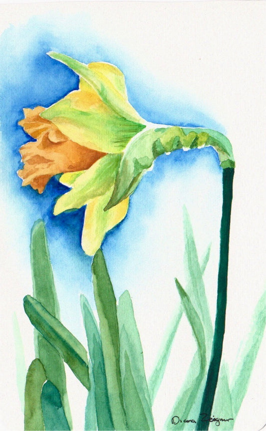 Flower Painting - Daffodil (5X8)