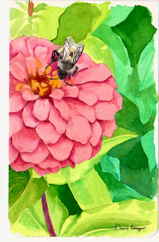 Flower Painting - Zinnia & Bee (5X8)